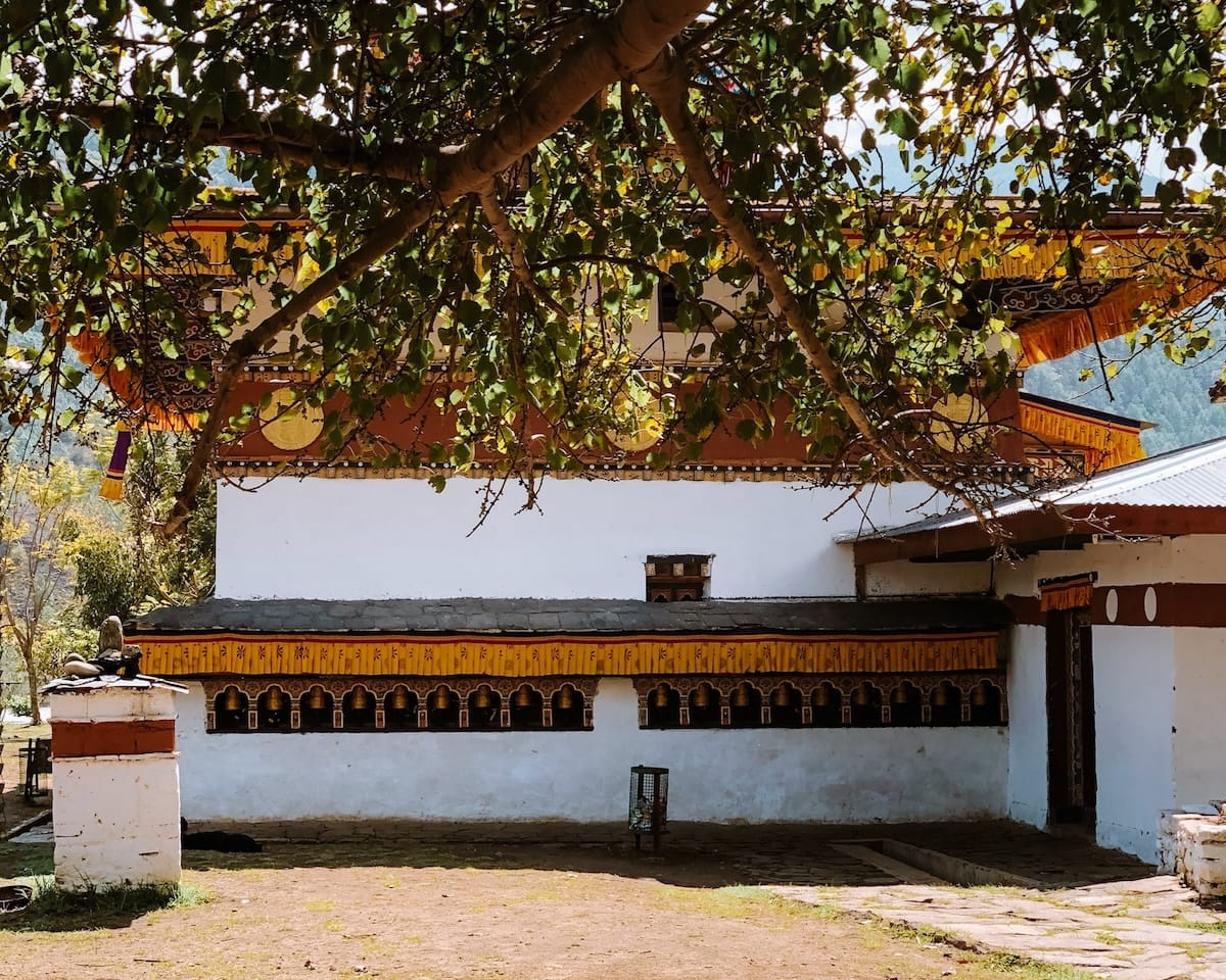 Chime Lhakhang Monastery partially shaded by a tree, with white walls, intricate wooden details, and prayer wheels below.