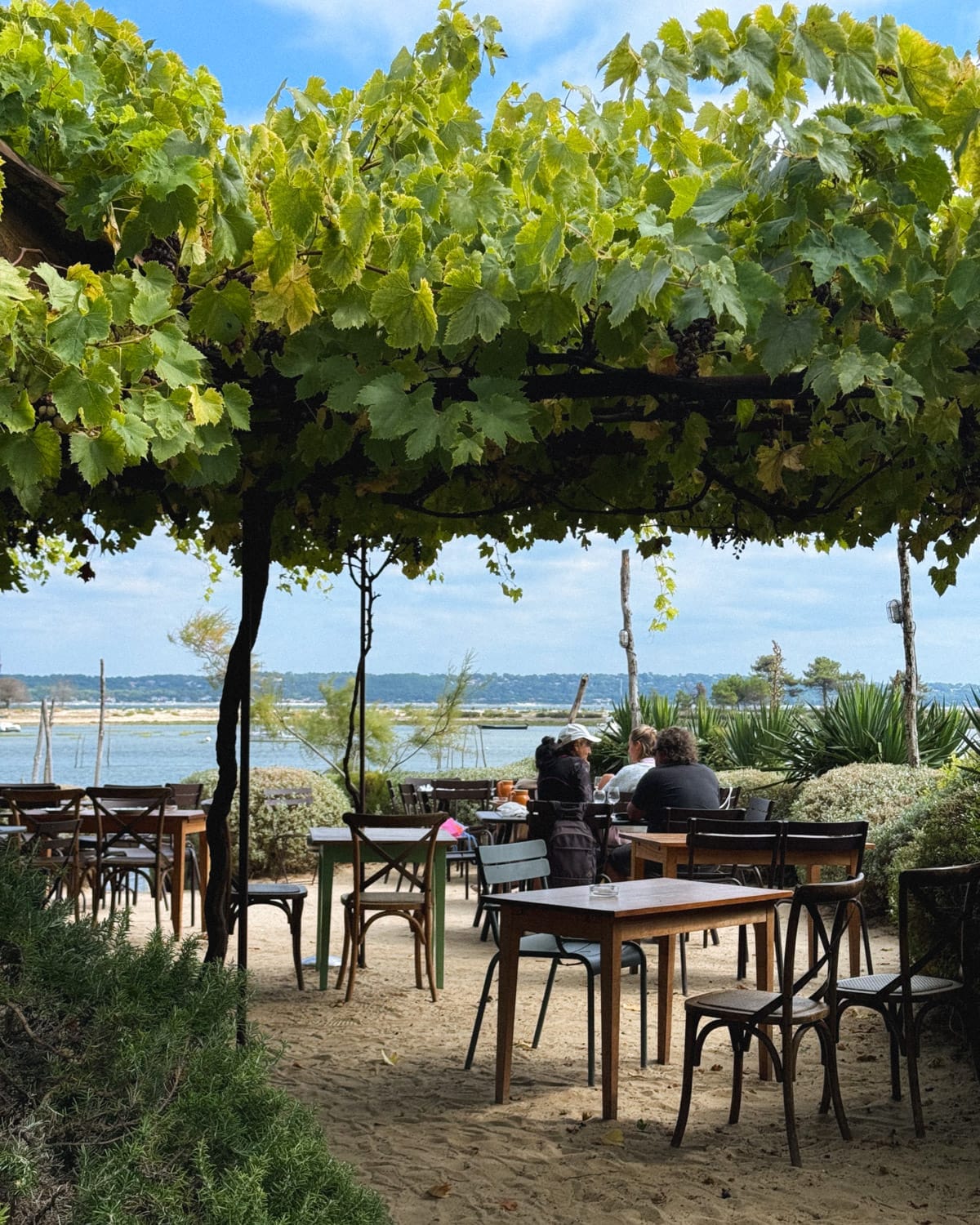  La Cabane d'Hortense, a waterfront restaurant in Cap Ferret with tables under a leafy pergola, overlooking the Bassin d'Arcachon.