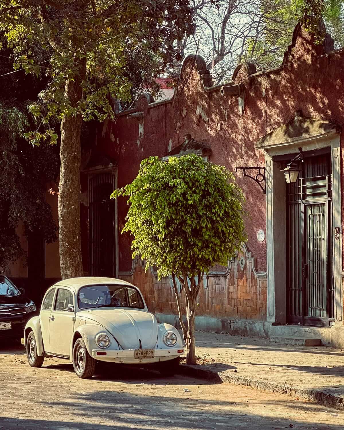 A white vintage Volkswagen Beetle is parked beside a tree, in front of a rustic, weathered building with pink walls in Mexico City.