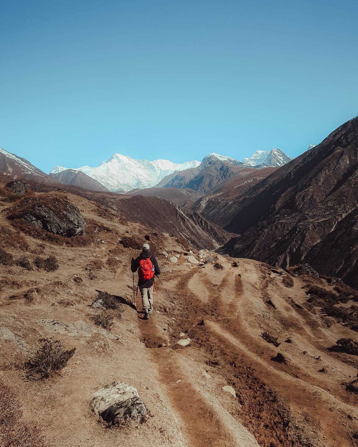 Ari with a red daypack walks a dirt trail toward snowy Himalayan peaks under clear blue skies.