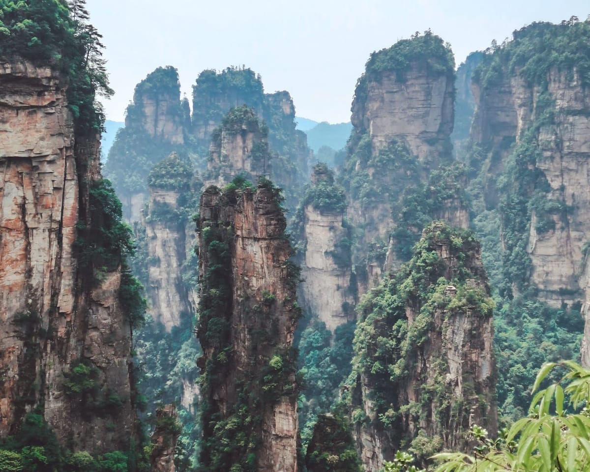Towering sandstone pillars covered in lush greenery rise into misty skies, resembling the floating mountains of Avatar.