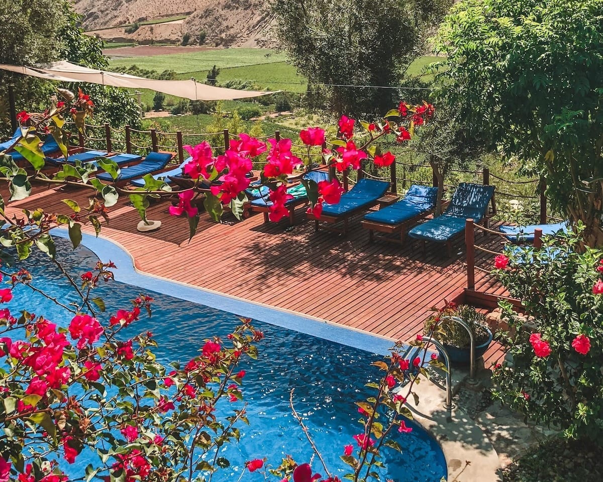 A poolside retreat at Cabanas Caballieri in the Elqui Valley, Chile, with bright blue loungers, red bougainvillea flowers, and lush greenery.