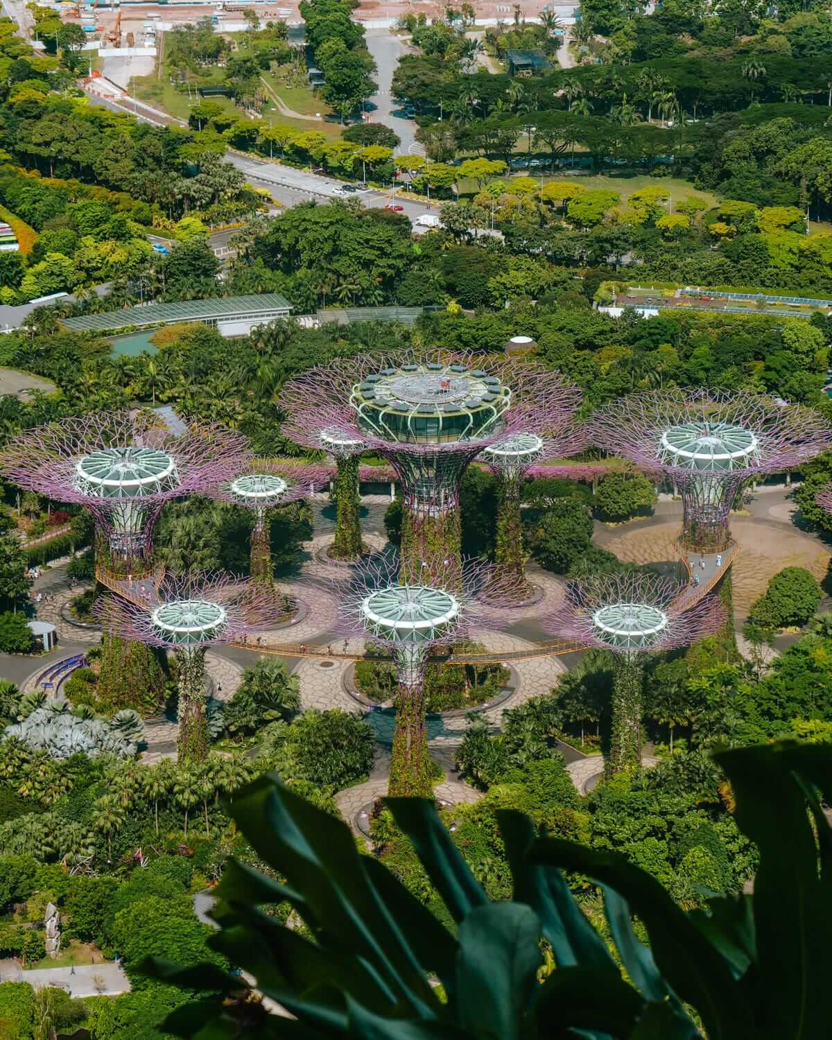 The Supertree Grove at Gardens by the Bay, with futuristic tree-like structures covered in lush greenery.
