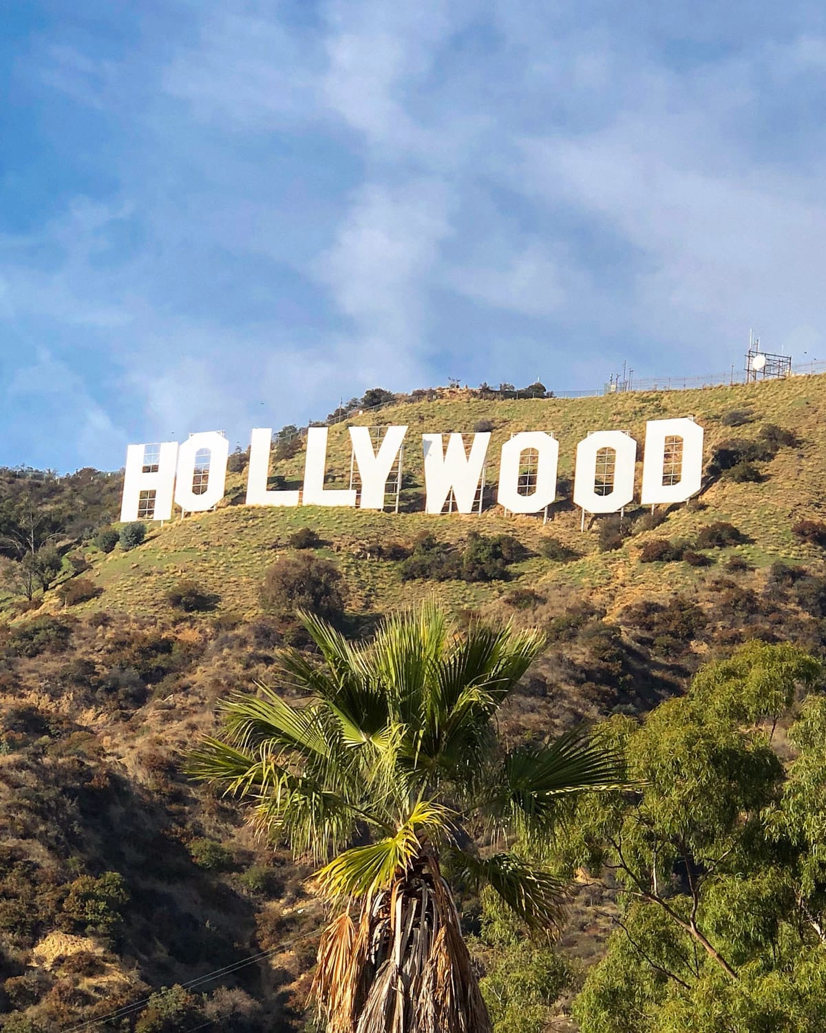 The iconic white Hollywood Sign sits on a dry hillside in Los Angeles, framed by palm trees and blue skies.