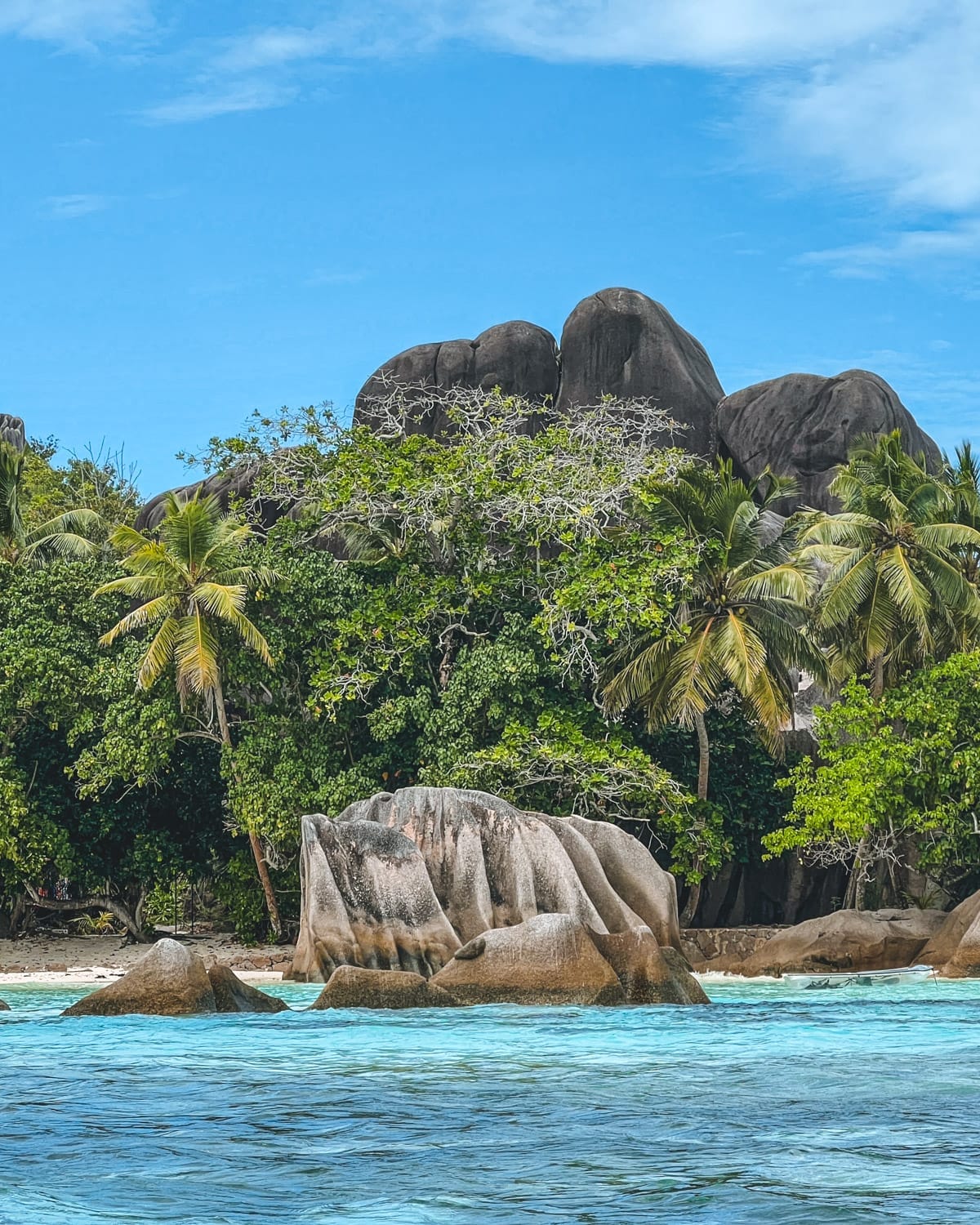 Sculpted granite boulders rise behind a palm-lined beach with shallow turquoise waters under a clear blue sky on La Digue Island.