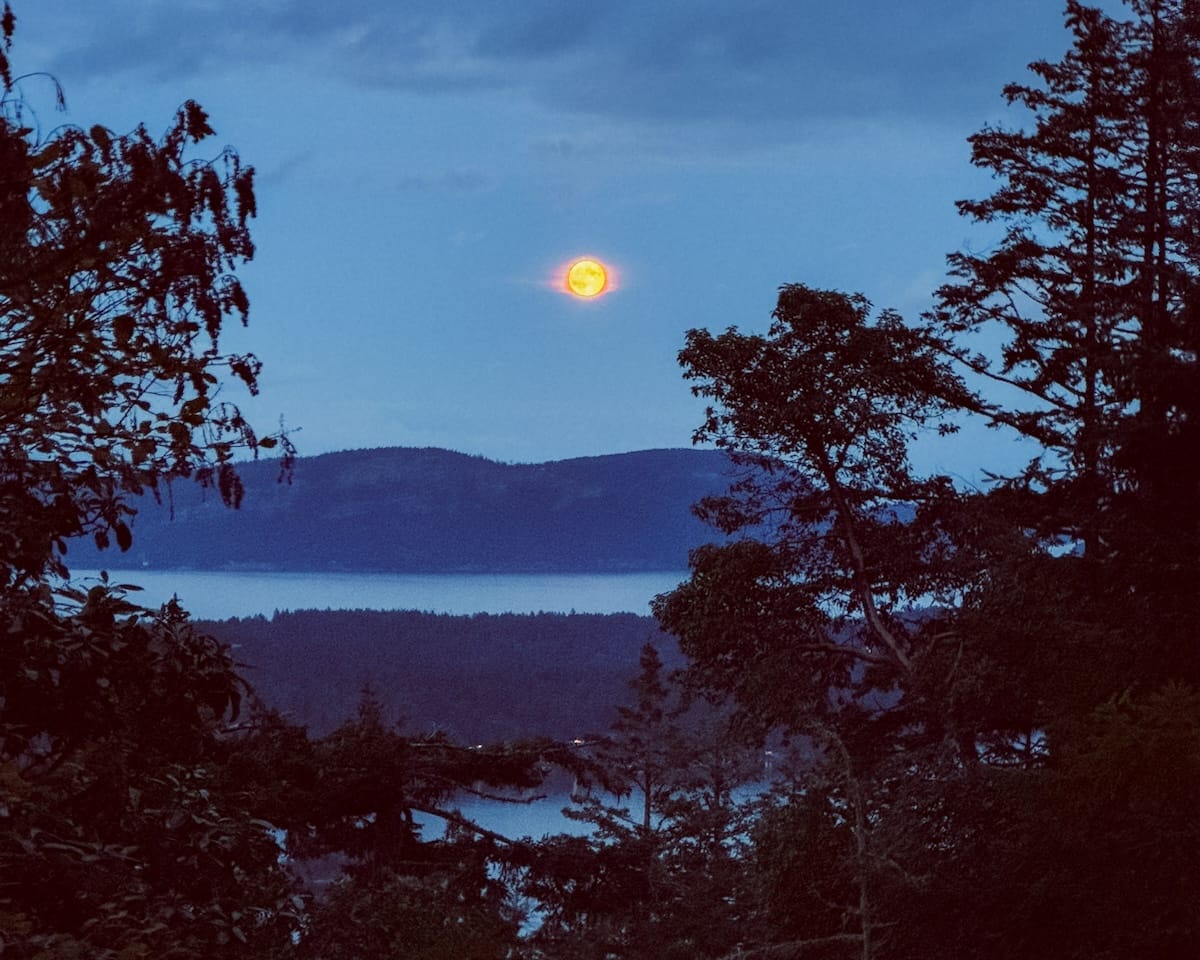 Full orange moon glows above the water and tree-covered hills of Salt Spring Island, framed by silhouetted trees at dusk.