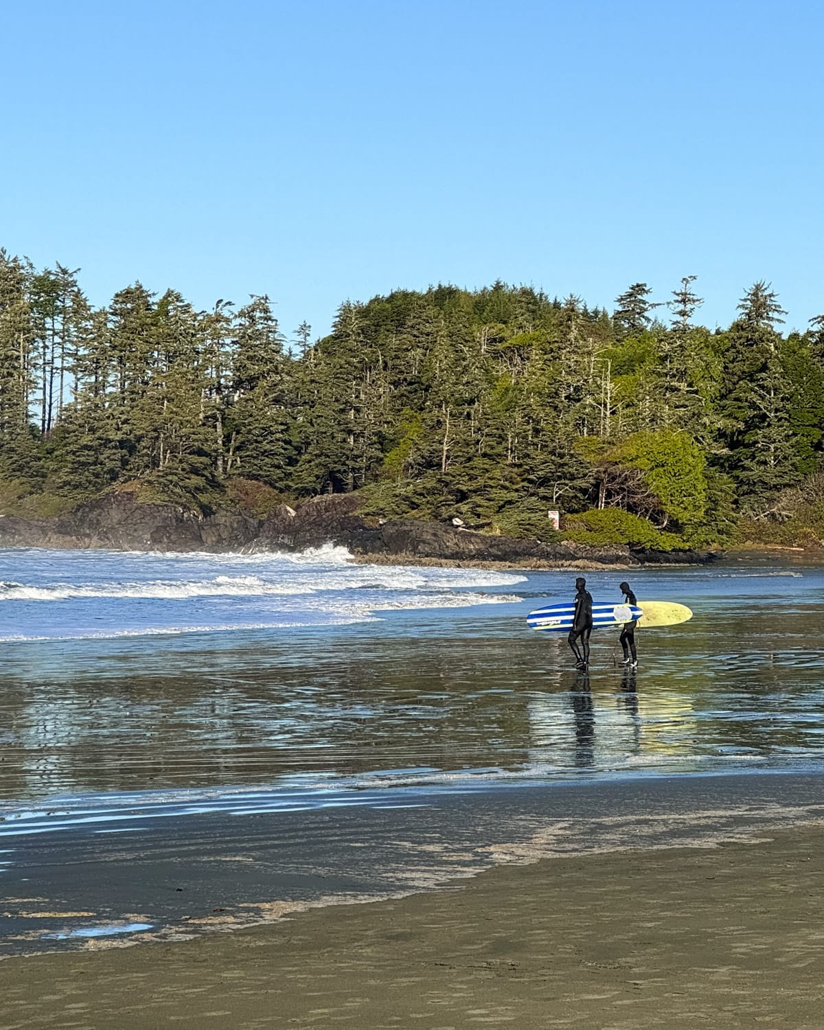 Two surfers in wetsuits carry boards across a reflective beach toward the waves, backed by a forested Tofino shoreline.