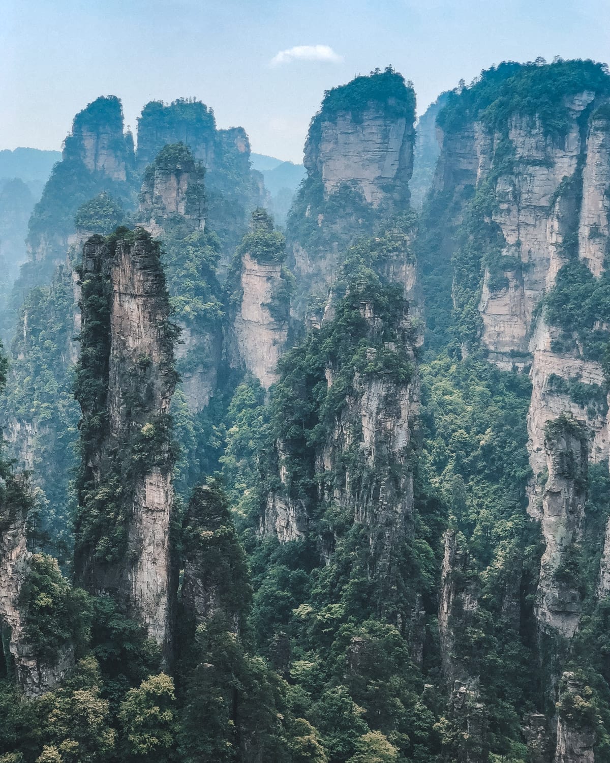 Towering sandstone pillars covered in dense greenery create a surrea landscape in Zhangjiajie National Forest.