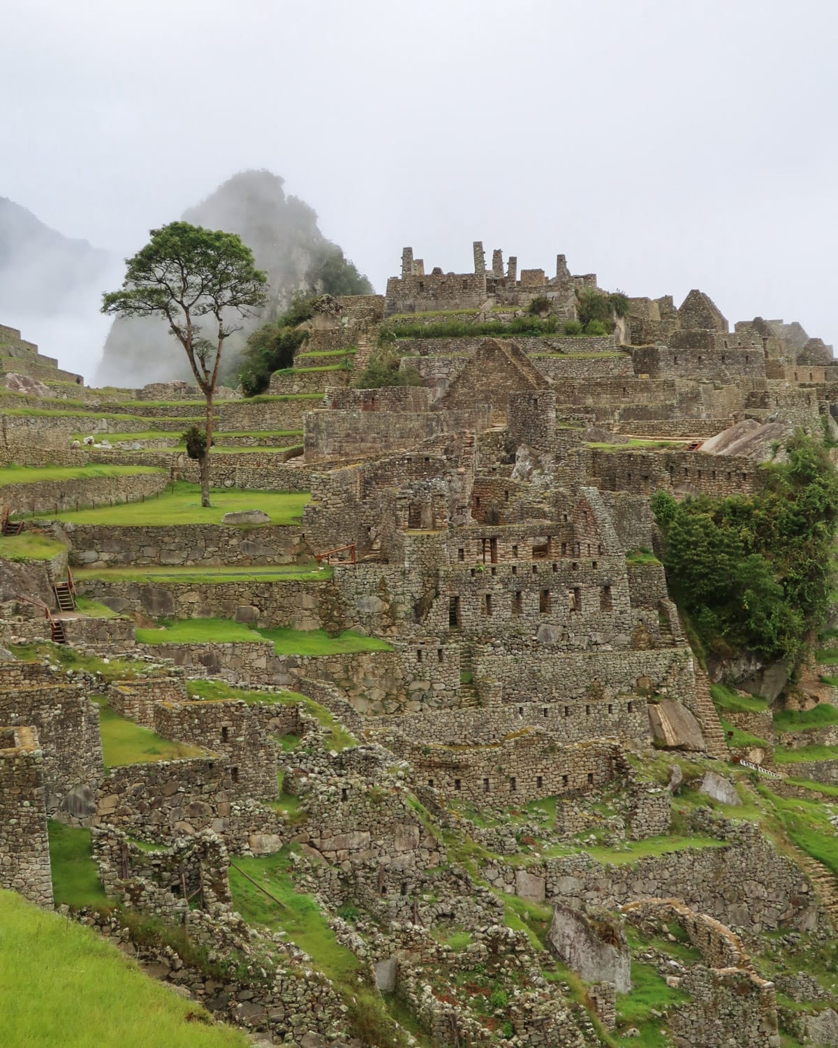 Ancient stone ruins of Machu Picchu cascade down a lush green mountainside, shrouded in mist and mystery.