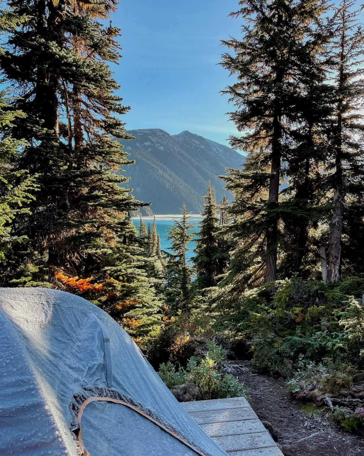 Tent pitched on a forested campsite at Garibaldi Lake, British Columbia, with mountain and turquoise lake views through the trees.
