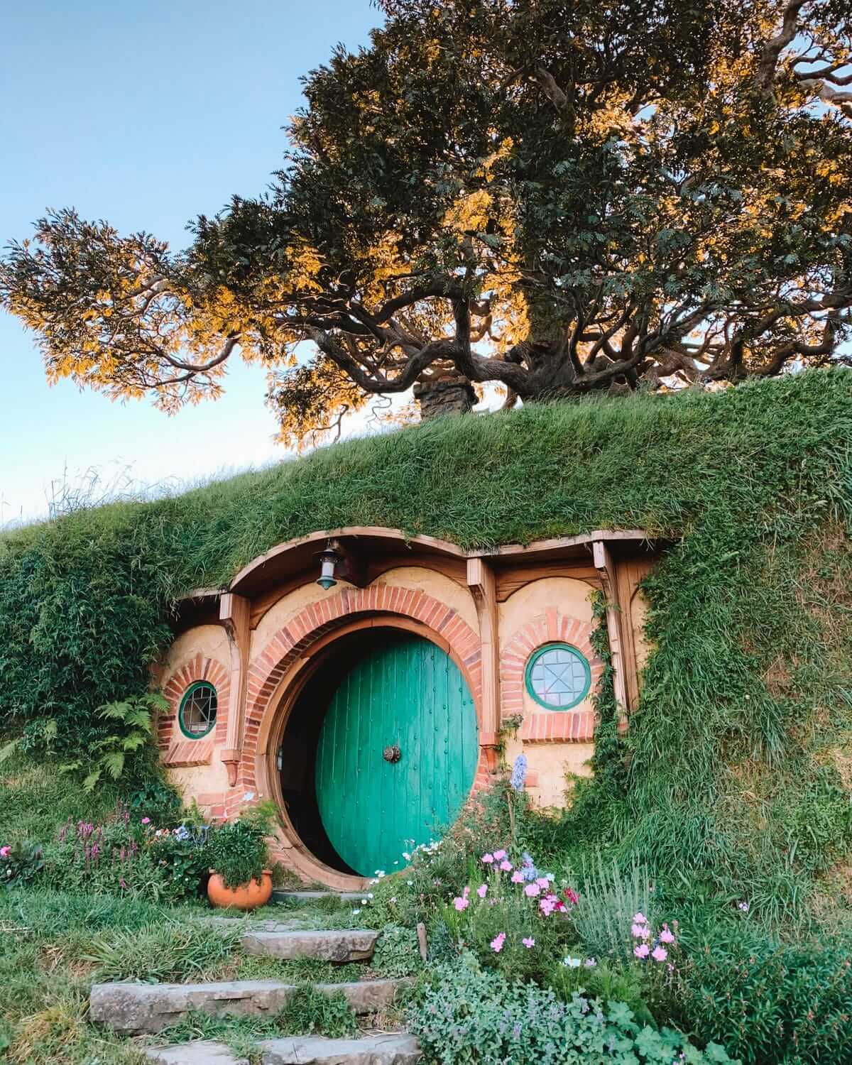 Hobbit hole with round green door and flower garden at Hobbiton with a large tree above the house.