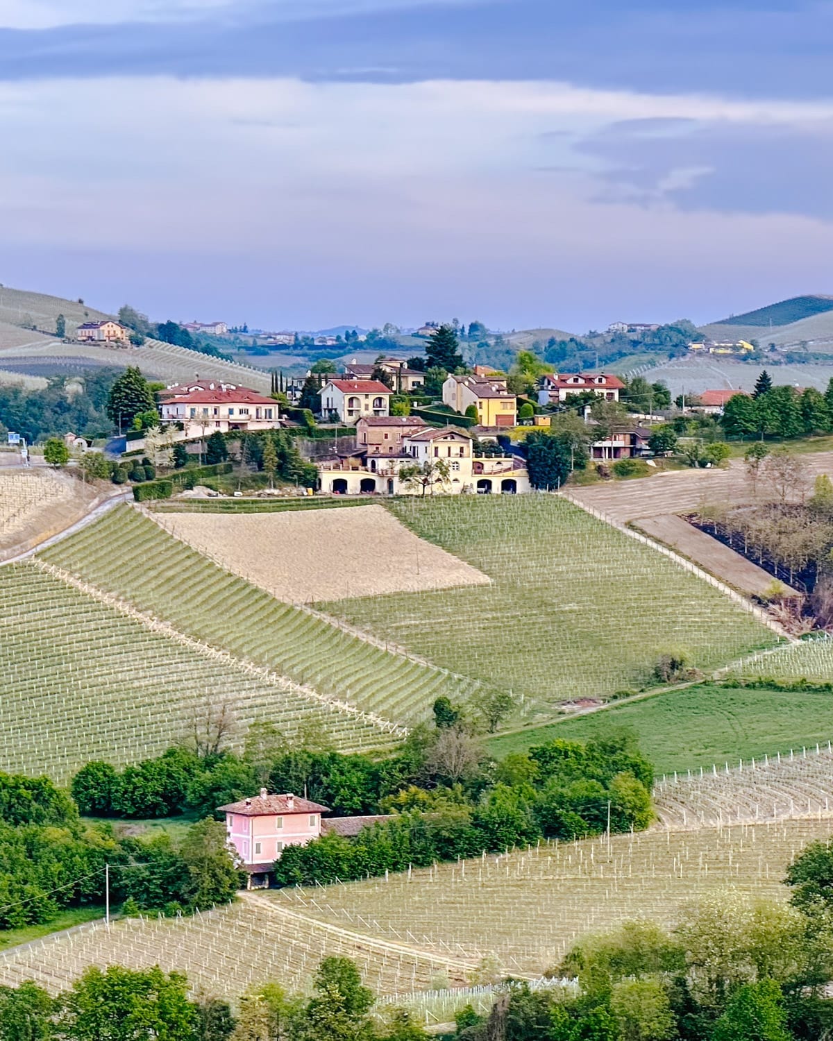 Neat rows of grapevines curve through the hills below a cluster of colourful homes in the Piedmont countryside.