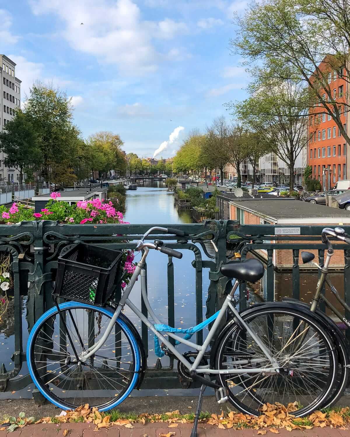 A bicycle leans against a bridge railing lined with fuchsia flowers overlooking a calm canal in Amsterdam on a sunny day.