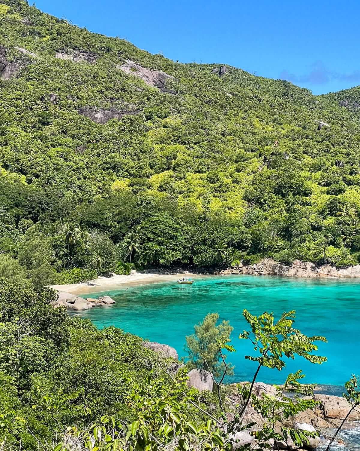 Secluded white sand beach and turquoise cove surrounded by lush, vibrant greenery on a sunny day in the Seychelles.