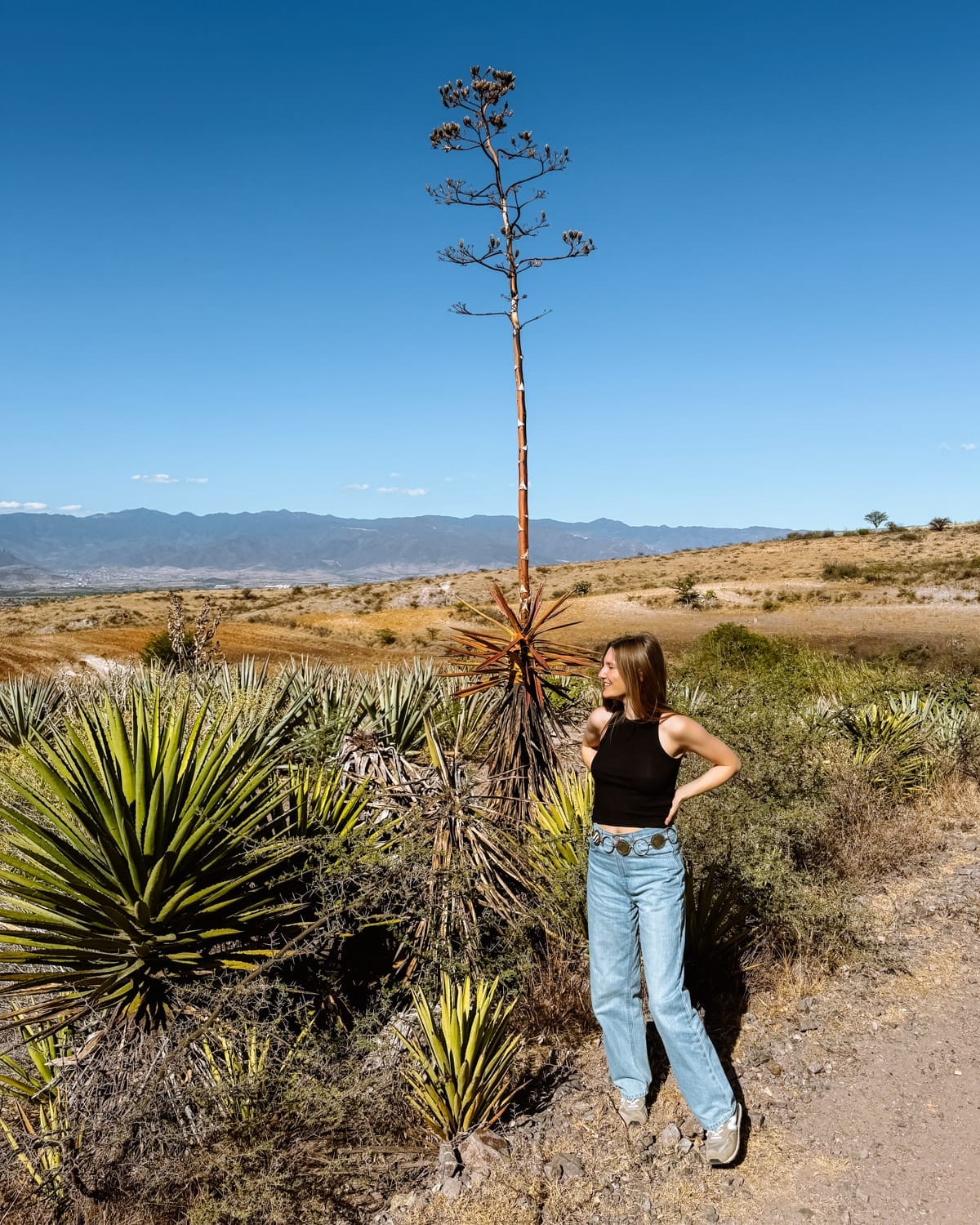 Cec stands among agave plants under a tall flowering stalk in Oaxaca, Mexico, with golden fields and mountains behind her.