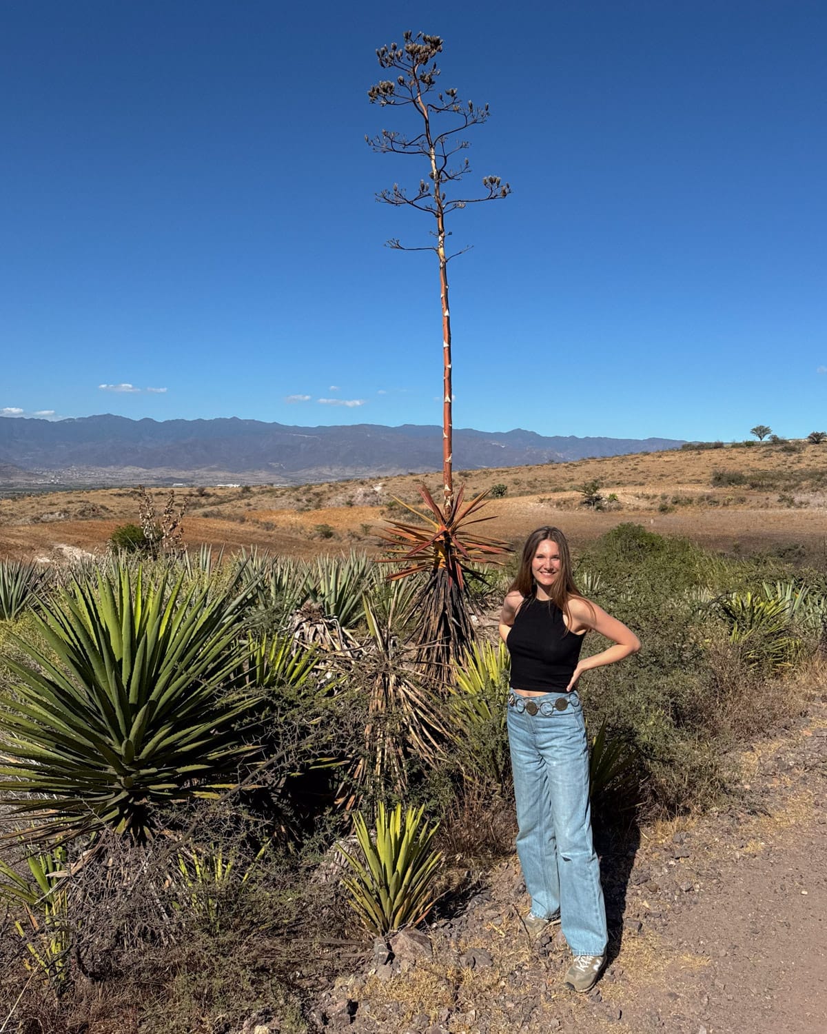 Cec poses beside tall agave plants and a flowering stalk, with wide desert plains and distant mountains in the Oaxaca countryside.
