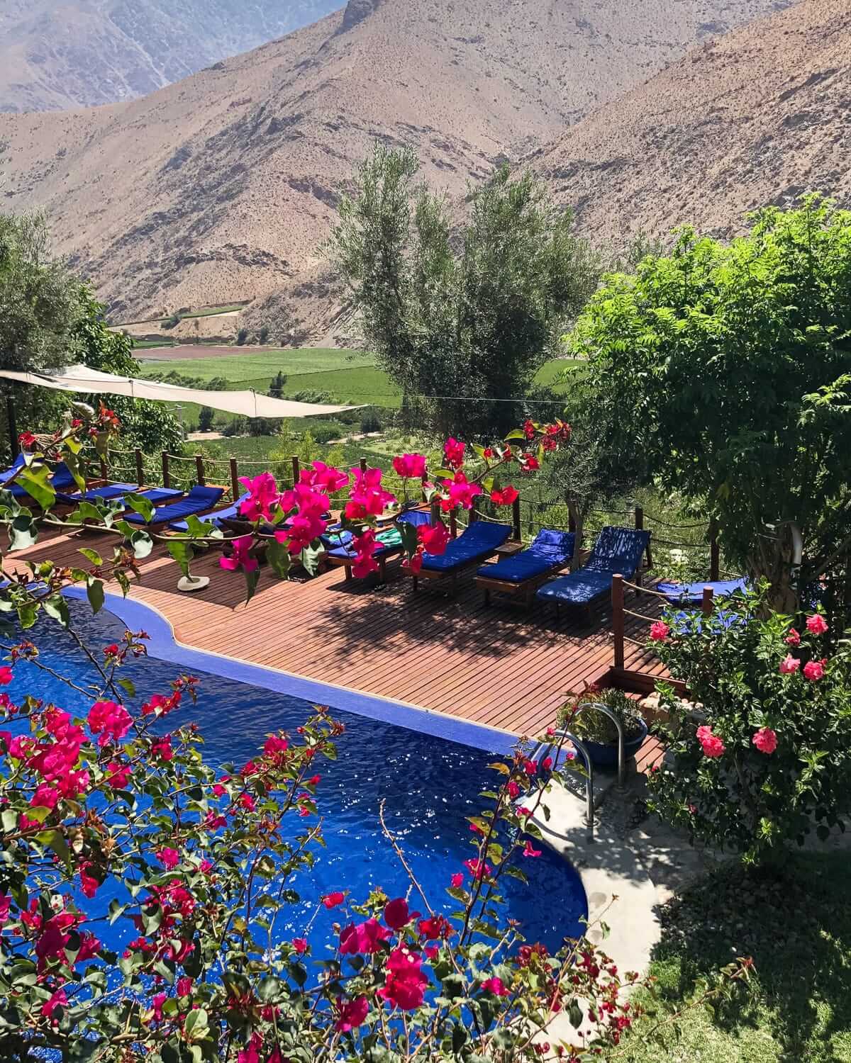 Mountain retreat pool deck with bright pink flowers, blue lounge chairs, and dry mountains rising behind the valley in Pisco Elqui.