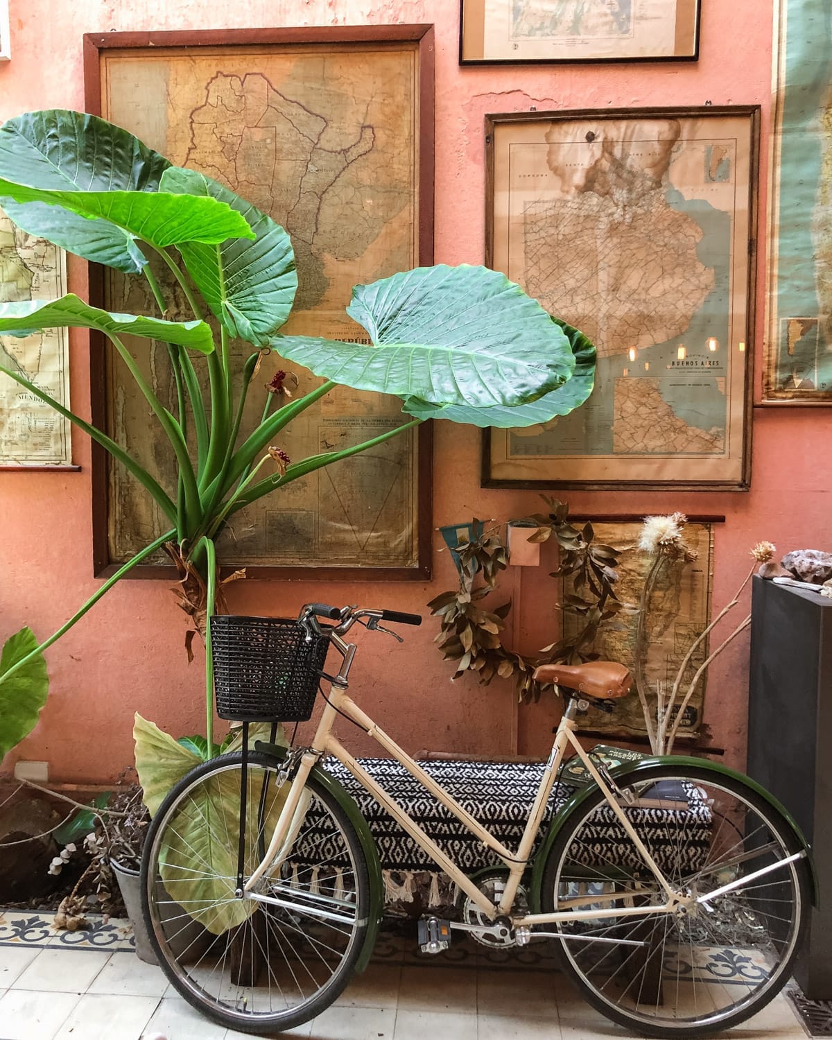 Beige bike with basket leans against a dusty pink wall decorated with antique maps and large tropical plant leaves in Palermo, Buenos Aires.