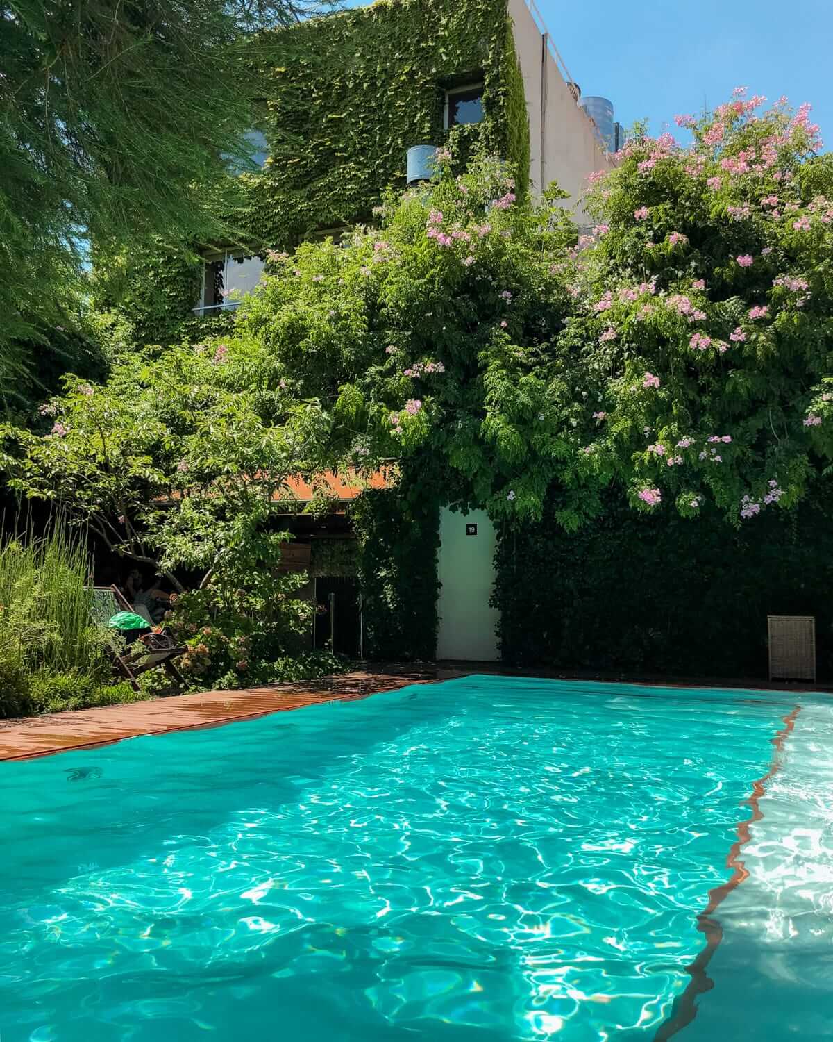Sparkling turquoise pool beside Home Hotel covered in ivy and pink-blossomed trees under a bright sunny sky in Buenos Aires.