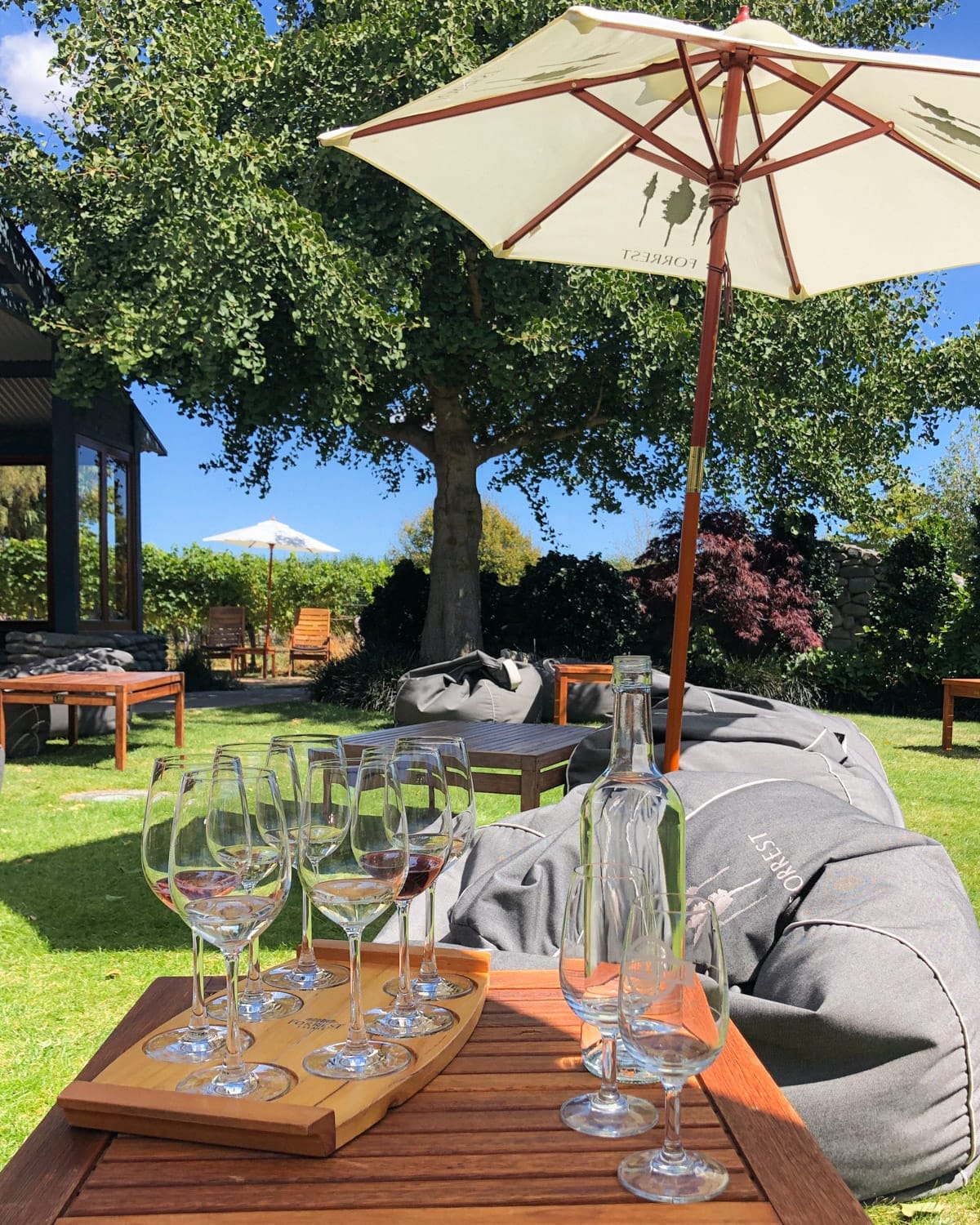 Outdoor wine tasting on a lawn in the Marlborough Region with glasses, beanbags, and a Forrest-branded umbrella.