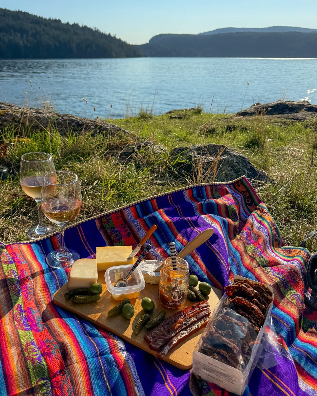 Colourful picnic setup with cheese, pickles, salmon jerky, and rose wine beside the water on Salt Spring Island, British Columbia.