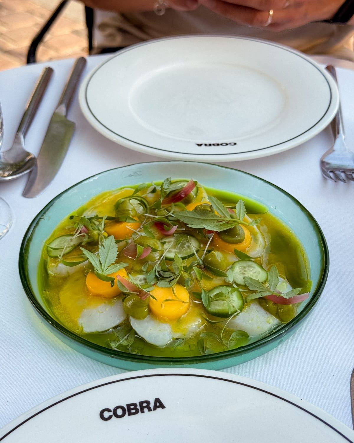 A vibrant green crudo-style dish at Cobra with scallops, mango spheres, and microgreens served in a shallow ceramic bowl.