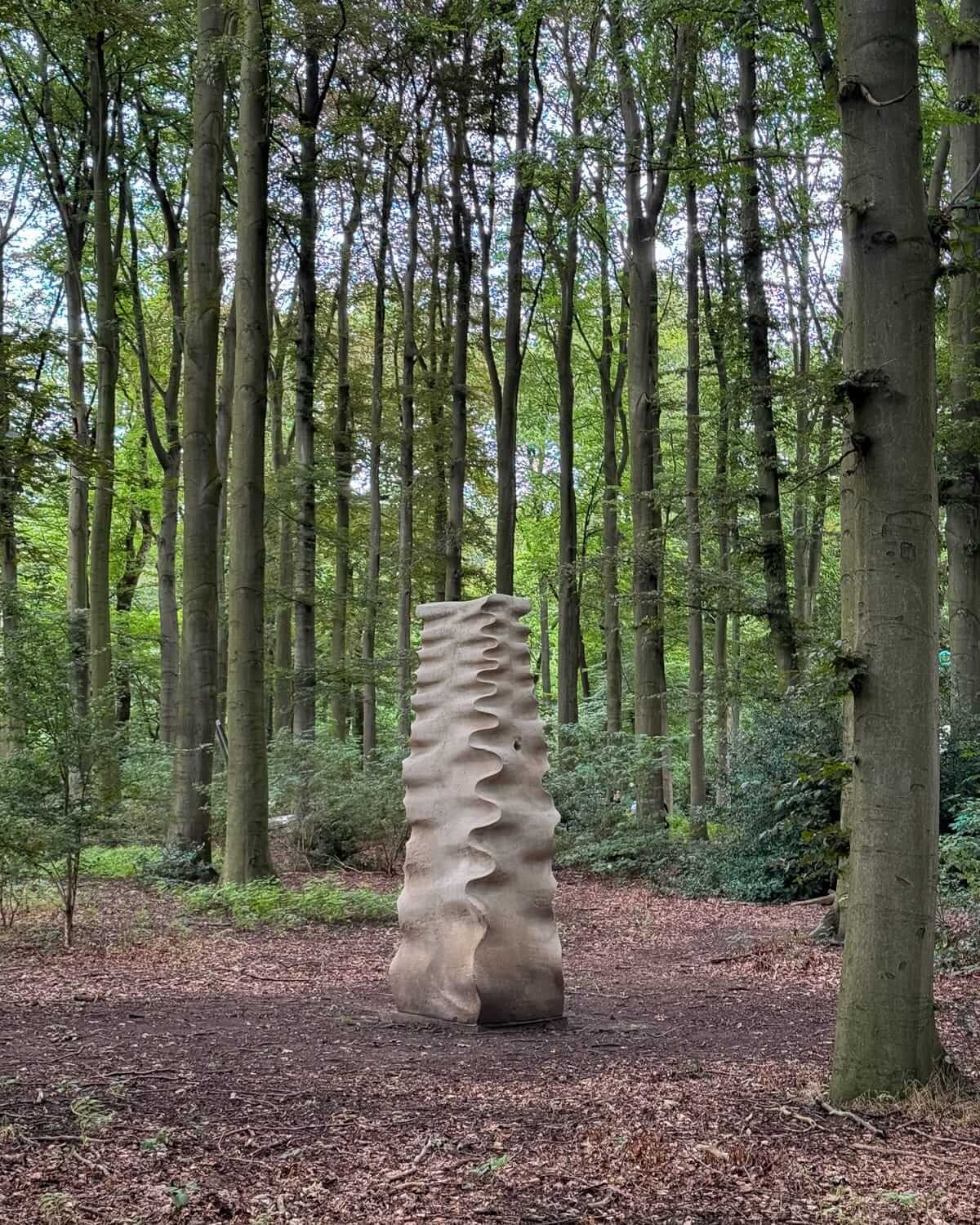 A tall, rippled stone sculpture stands in a serene forest clearing surrounded by tall trees and fallen leaves at Middelheim Museum, Antwerp.