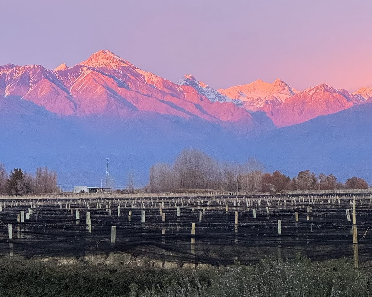 Sunrise casting purple and orange hues on the Andes mountains above winter vineyards in Mendoza’s Uco Valley.
