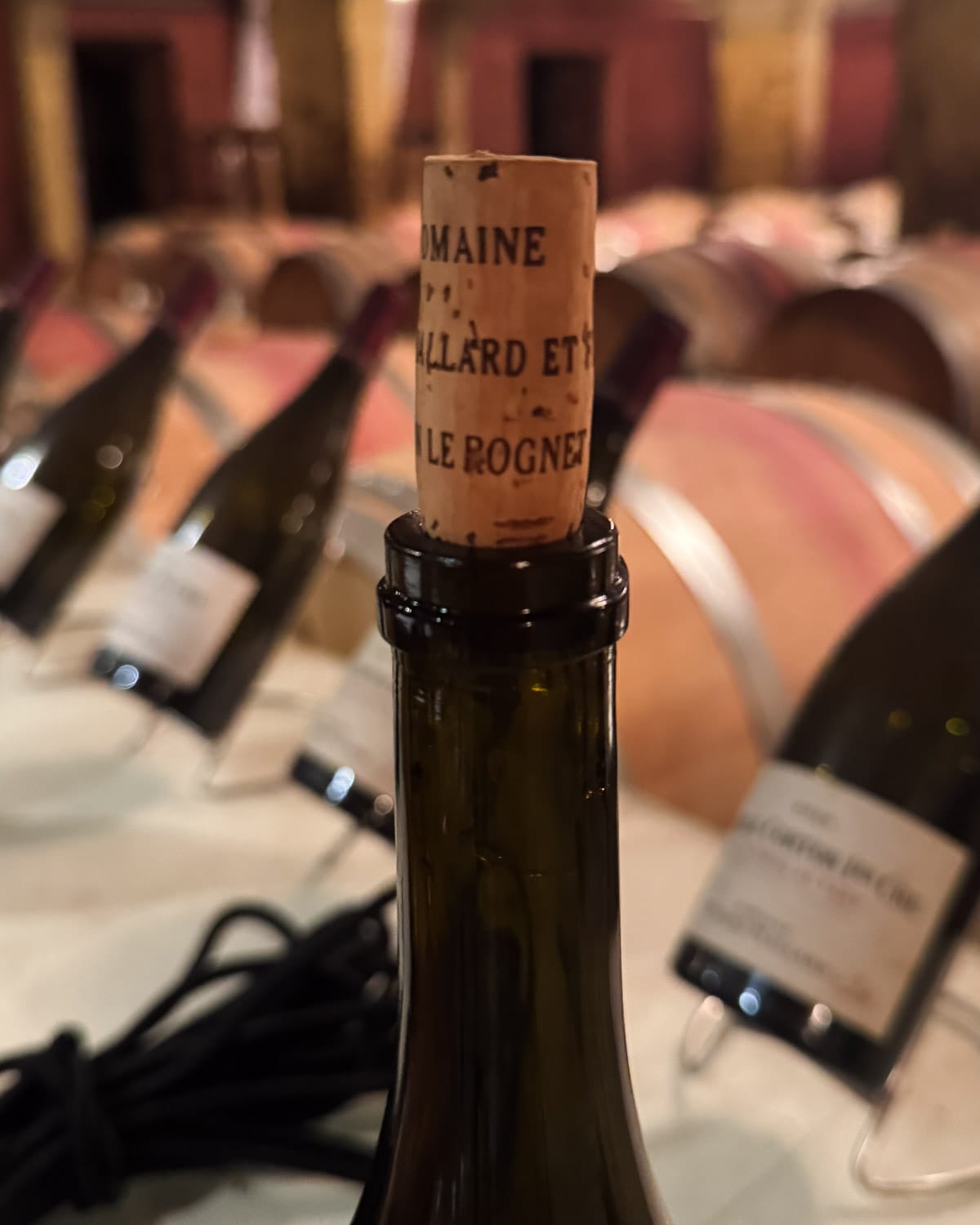 Close-up of an opened Burgundy wine bottle with cork visible during a cellar tasting.