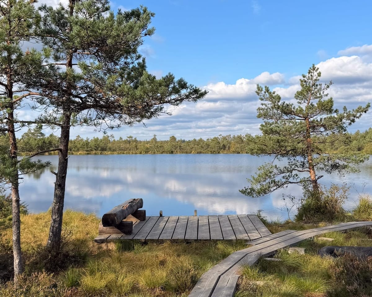 Wooden boardwalk leading to Jalase Jarv in Estonia’s bog landscape under a wide blue sky.