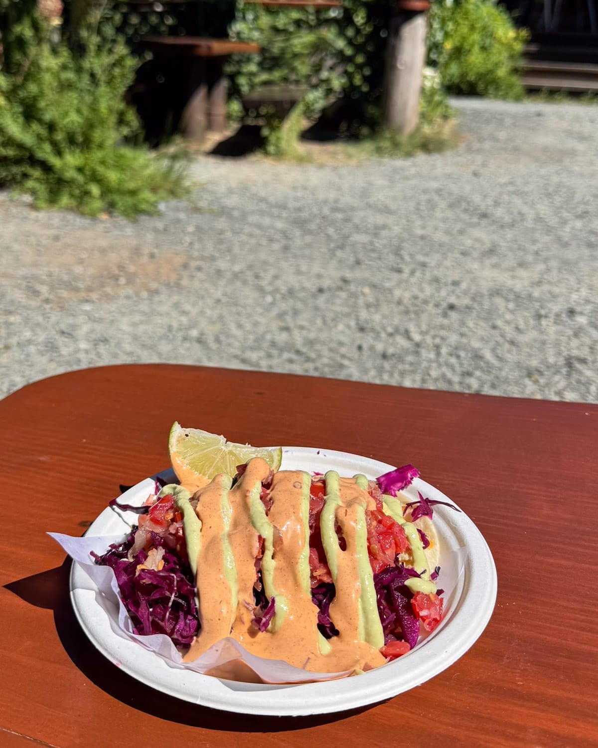 Breakfast taco topped with fresh vegetables and house-made sauces at Vorizo Cafe on Hornby Island.
