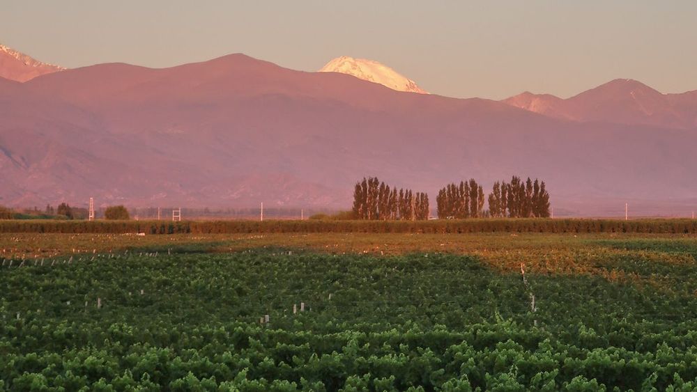 1 Week Argentina Itinerary - Buenos Aires and Mendoza