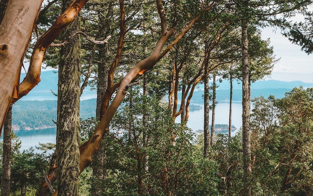 34 Fun Things to Do in Salt Spring Island, BC (Local's Guide)