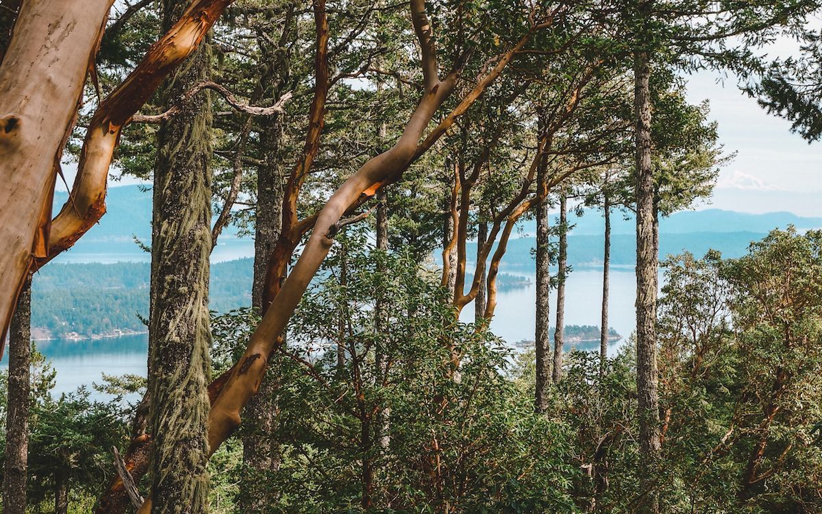 34 Fun Things to Do in Salt Spring Island, BC (Local's Guide)