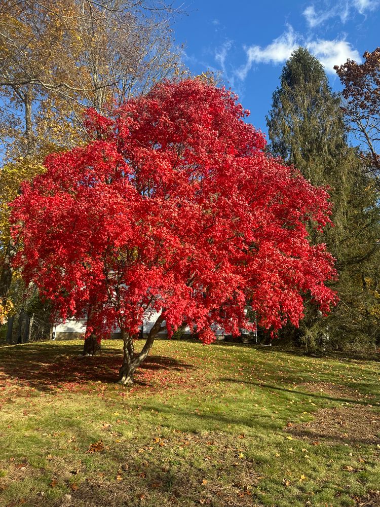 For survivors, today