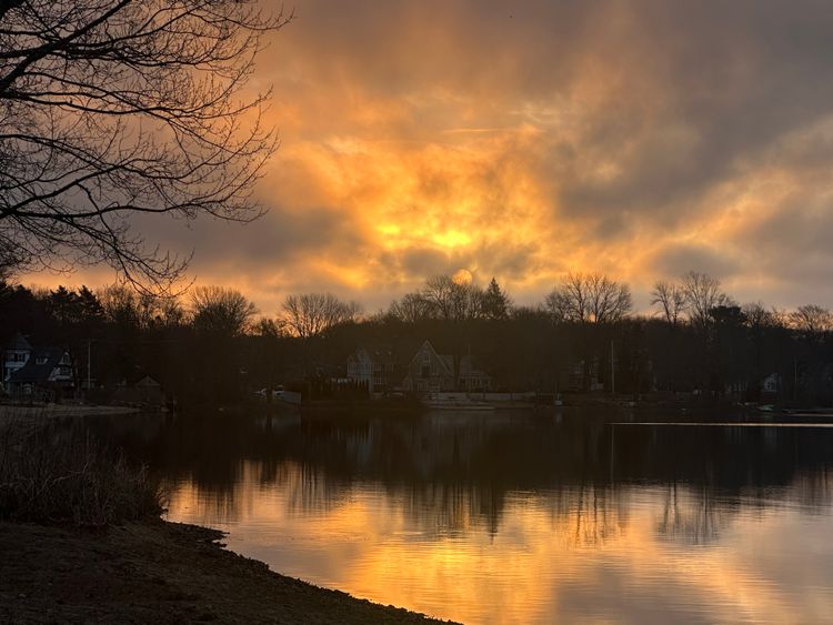 Trump: the one man crime spree