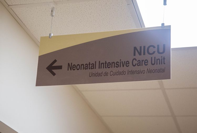 The exquisite hypocrisy of this “pro-life” presidency