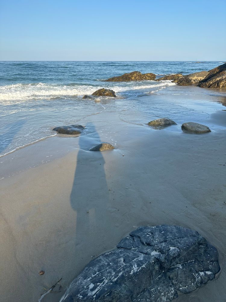 The Necessity of Solidarity