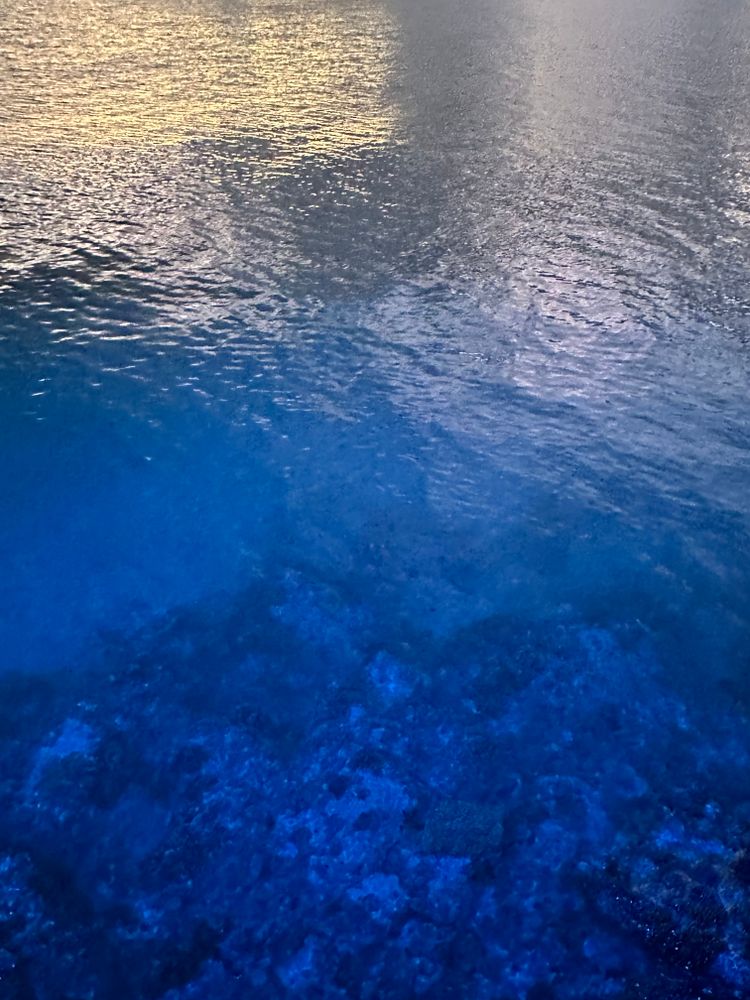 Holding heartbreak in a post 10/7 world