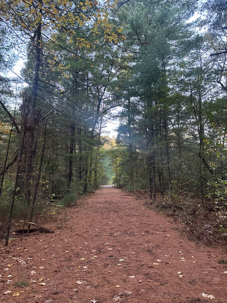 Do you stand with survivors?