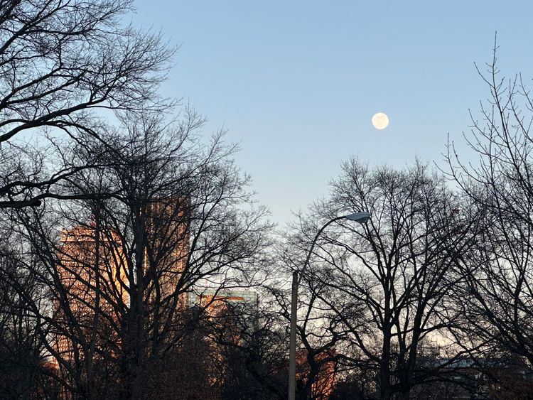 On remembering the Holocaust