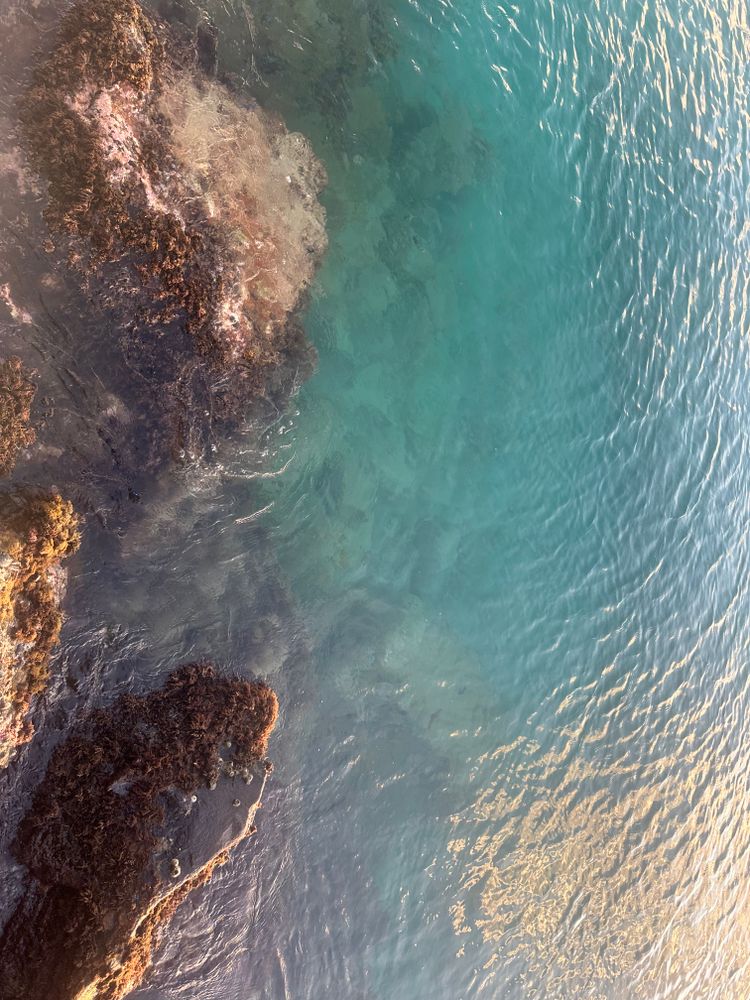 Donald Trump, Abuser-in-Chief