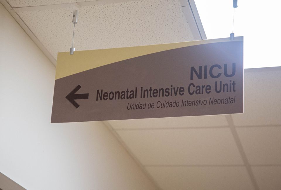 The exquisite hypocrisy of this “pro-life” presidency