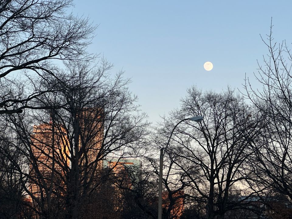 On remembering the Holocaust