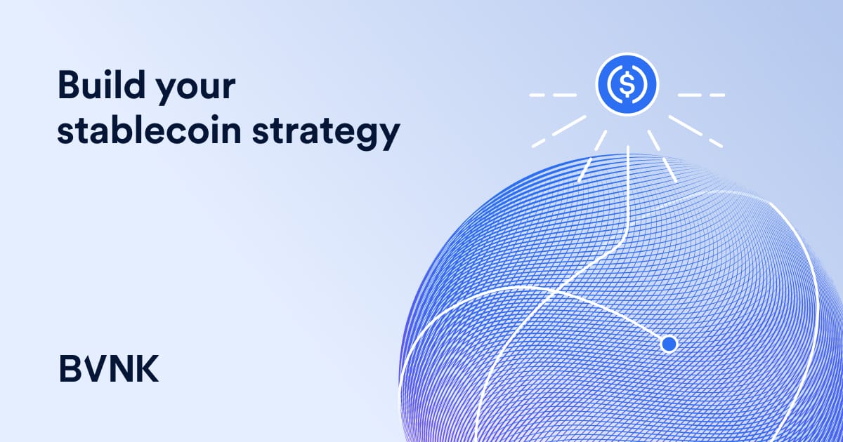 BVNK Stablecoin Infrastructure