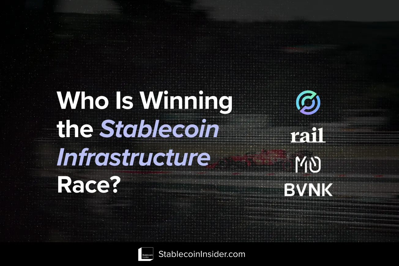 top Stablecoin Infrastructure companies