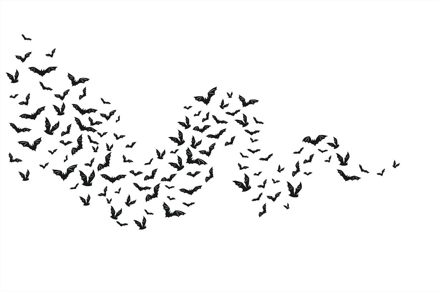 Bats That Camped In My Tree Are Now In My Head