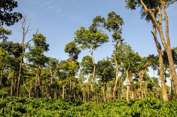 A Place That Cheered Us