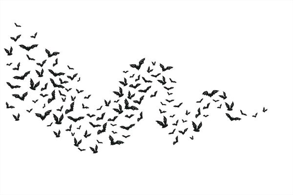 Bats That Camped In My Tree Are Now In My Head