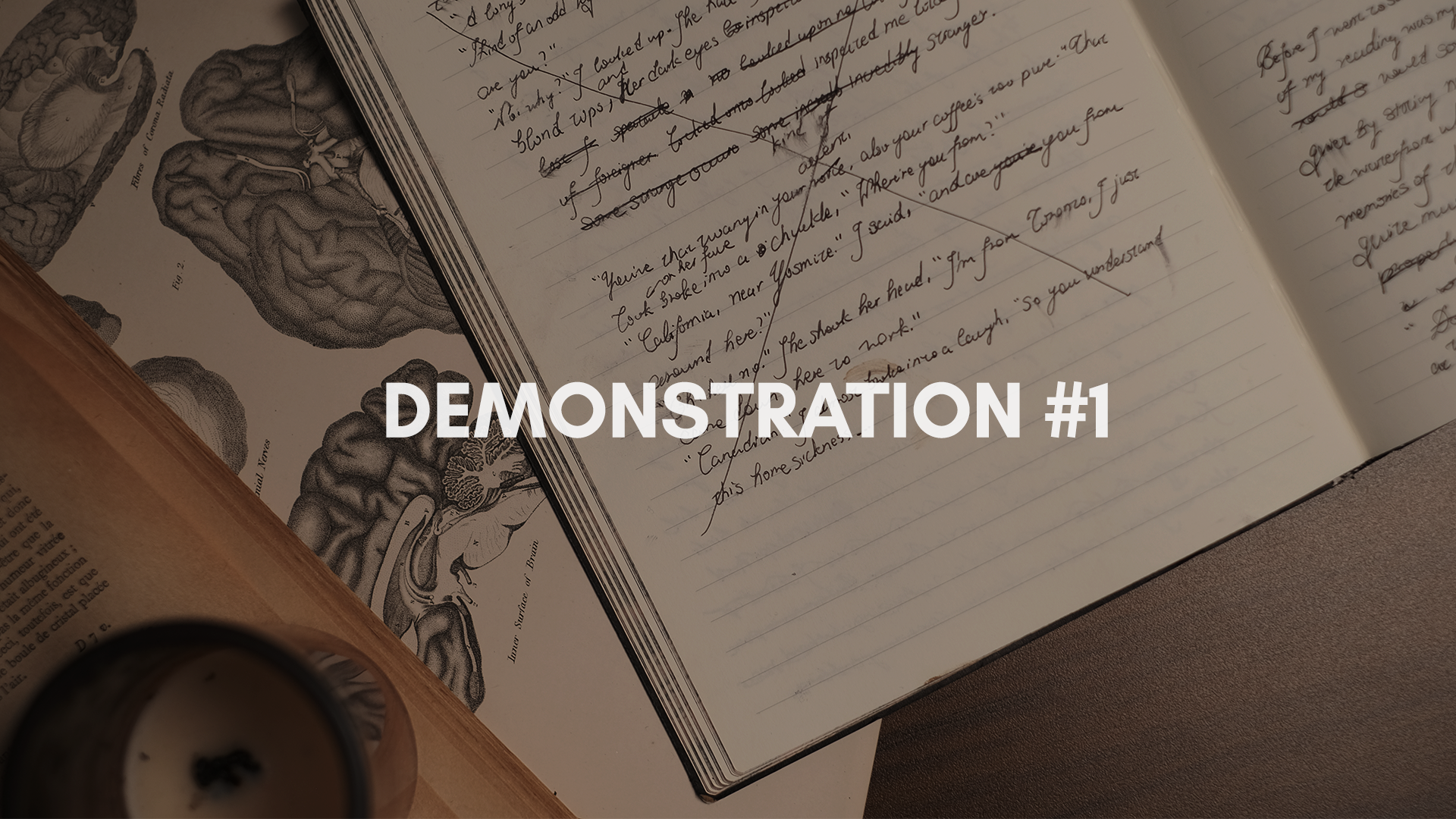 Demonstration #1: How To Inspect A Book For Your TBR